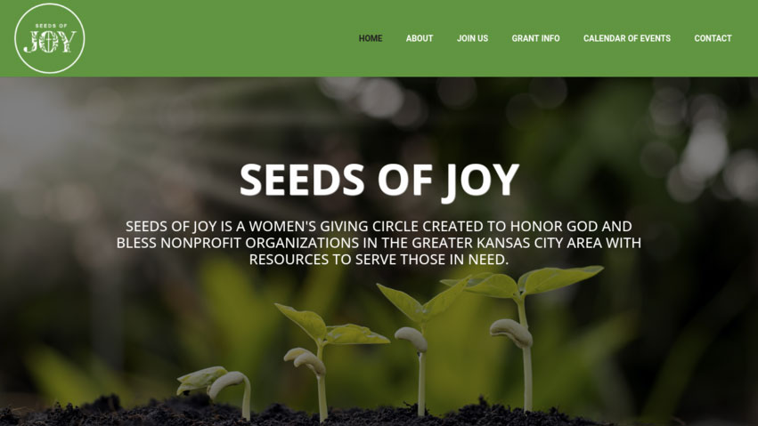 Seeds of Joy Website Developed by us