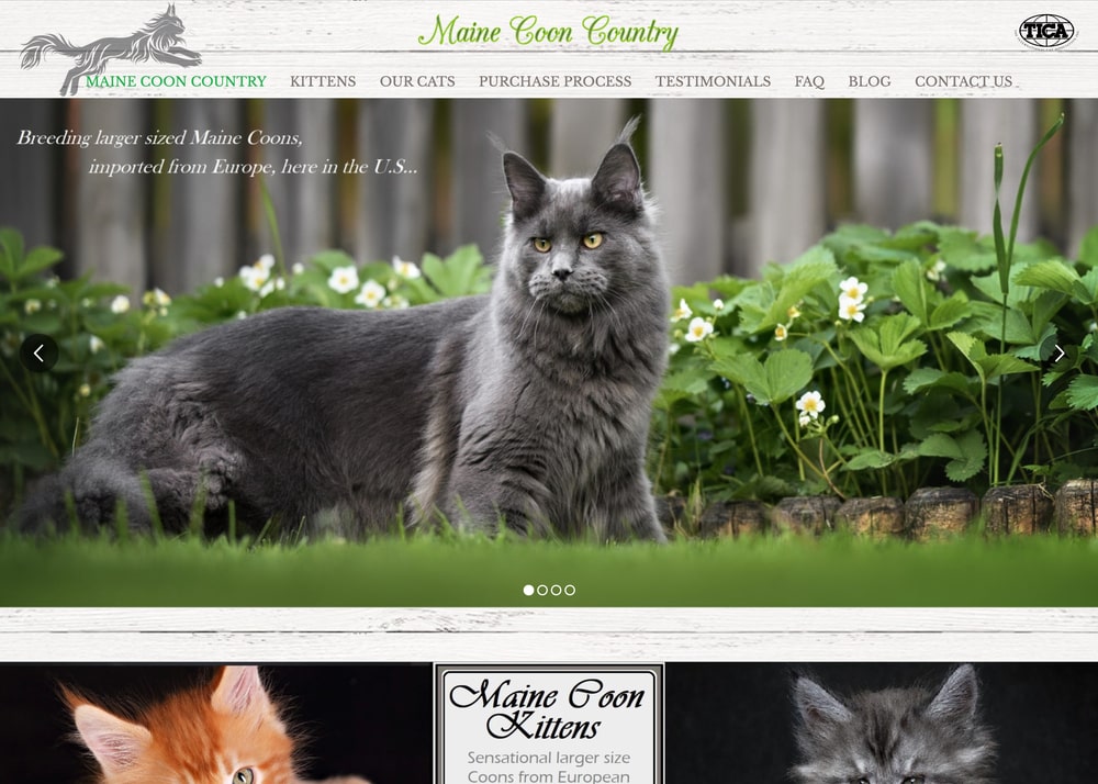 Pet Web Design Kansas City